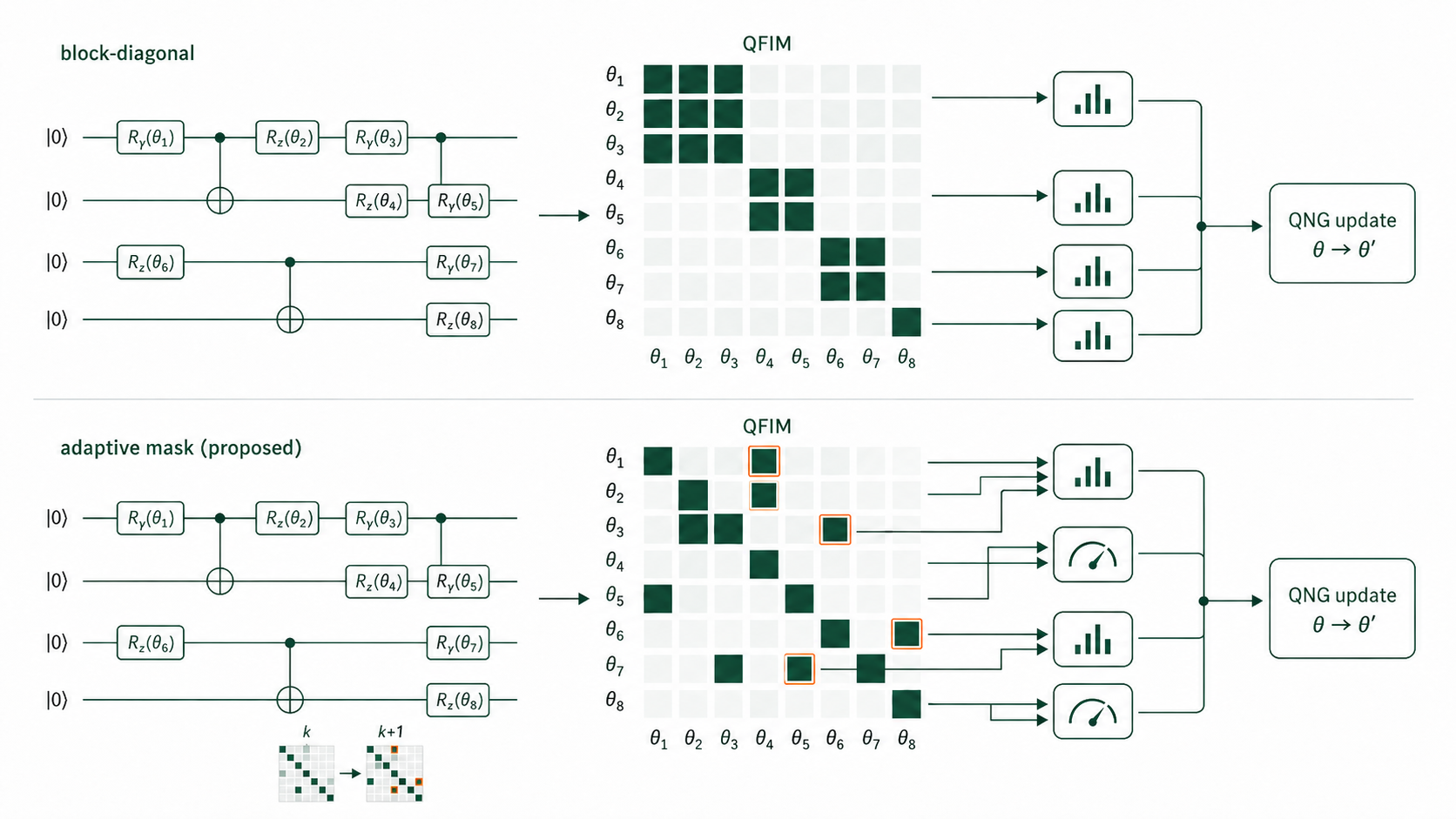 Quantum natural gradient diagram comparing block-diagonal QFIM estimation with an adaptive mask.